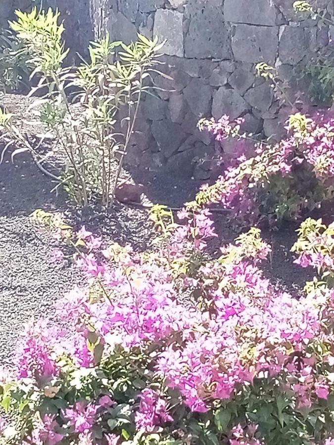 Casa Marilyn Villa Playa Blanca  Eksteriør billede